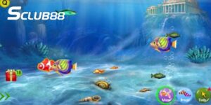 bắn cá online SCLUB88