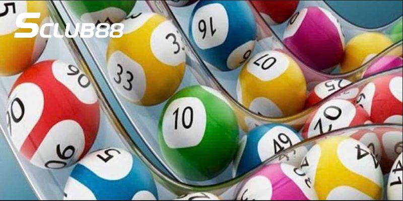 Cược thủ thắng lớn nhờ nuôi số lâu dài