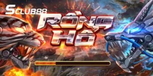 Rồng hổ SCLUB88